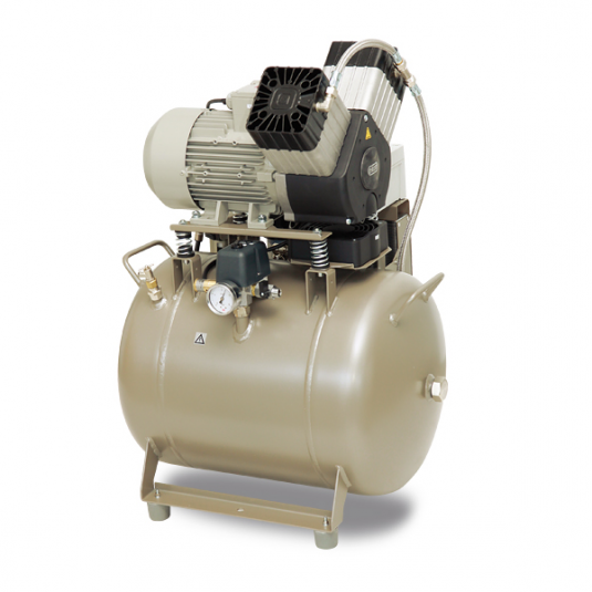 DK50 2V/50S/M - компрессор со шкафом, с мембранным осушителем